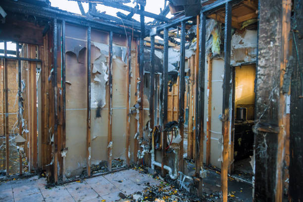 Professional Soot Cleanup technician working in Henderson, KY